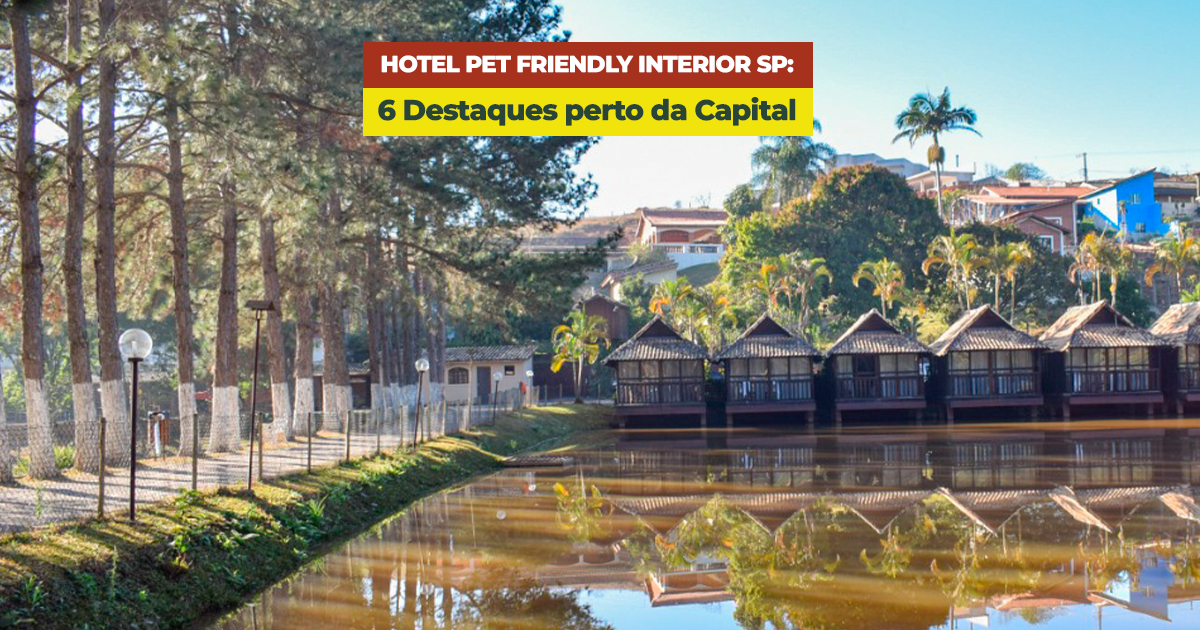 Hotel pet friendly Interior SP: 6 Opções perto da Capital