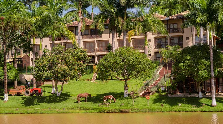 Hotel fazenda em São Paulo: conheça o Park Hotel Modelo!