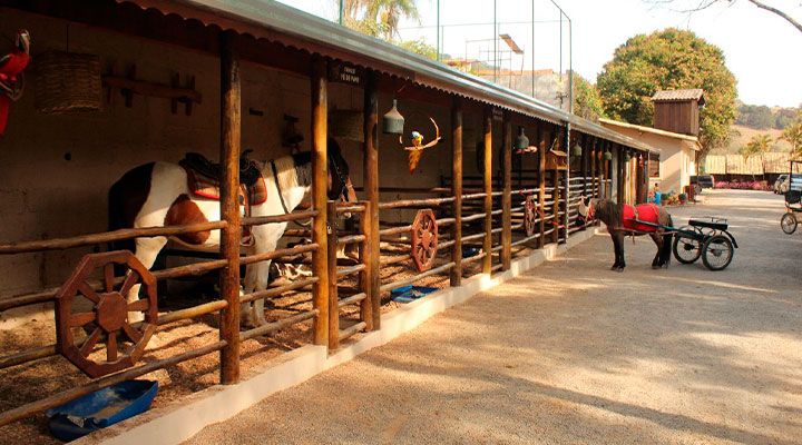 Estabulo rustico com cavalos e carroças