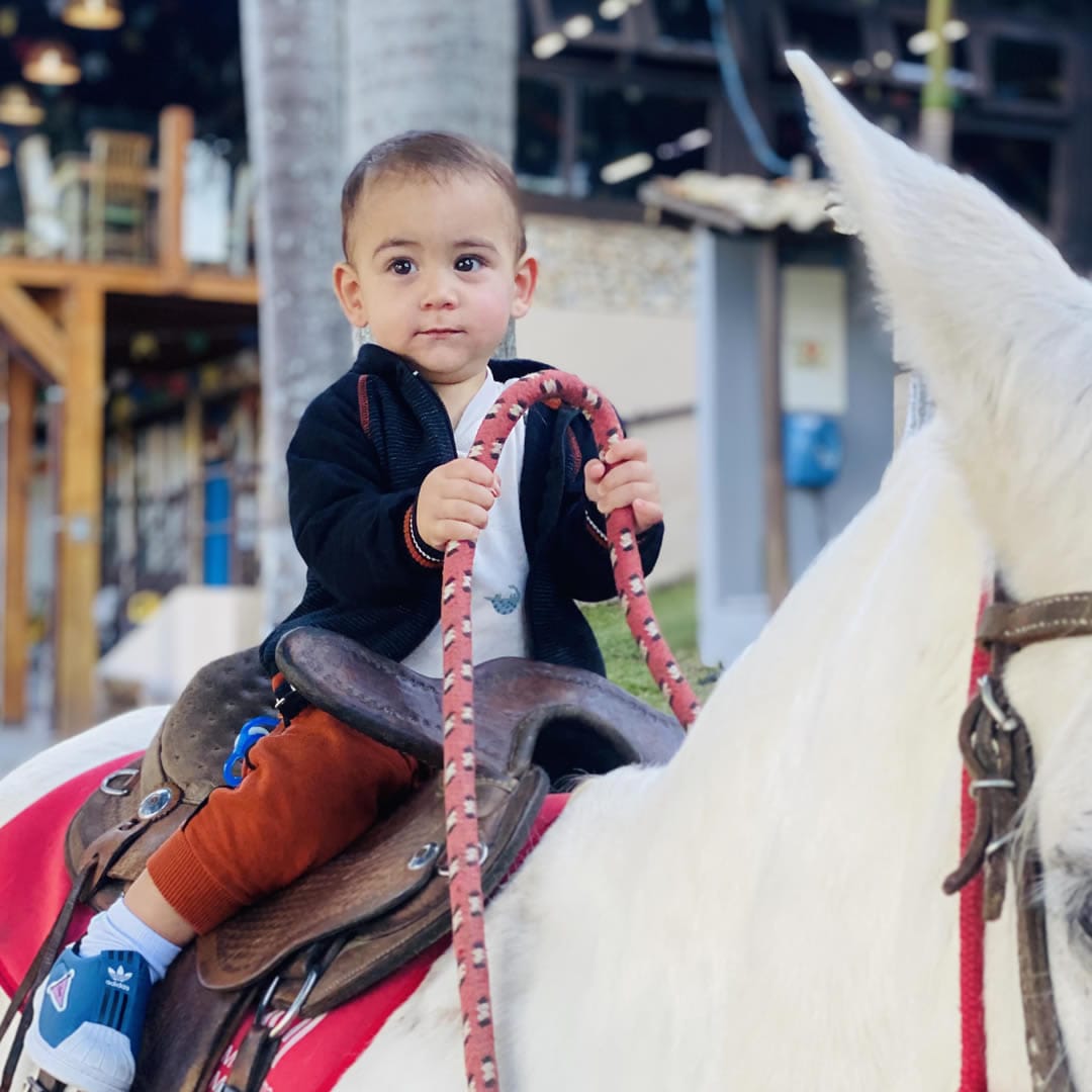 criança montada em um cavalo no park hotel modelo