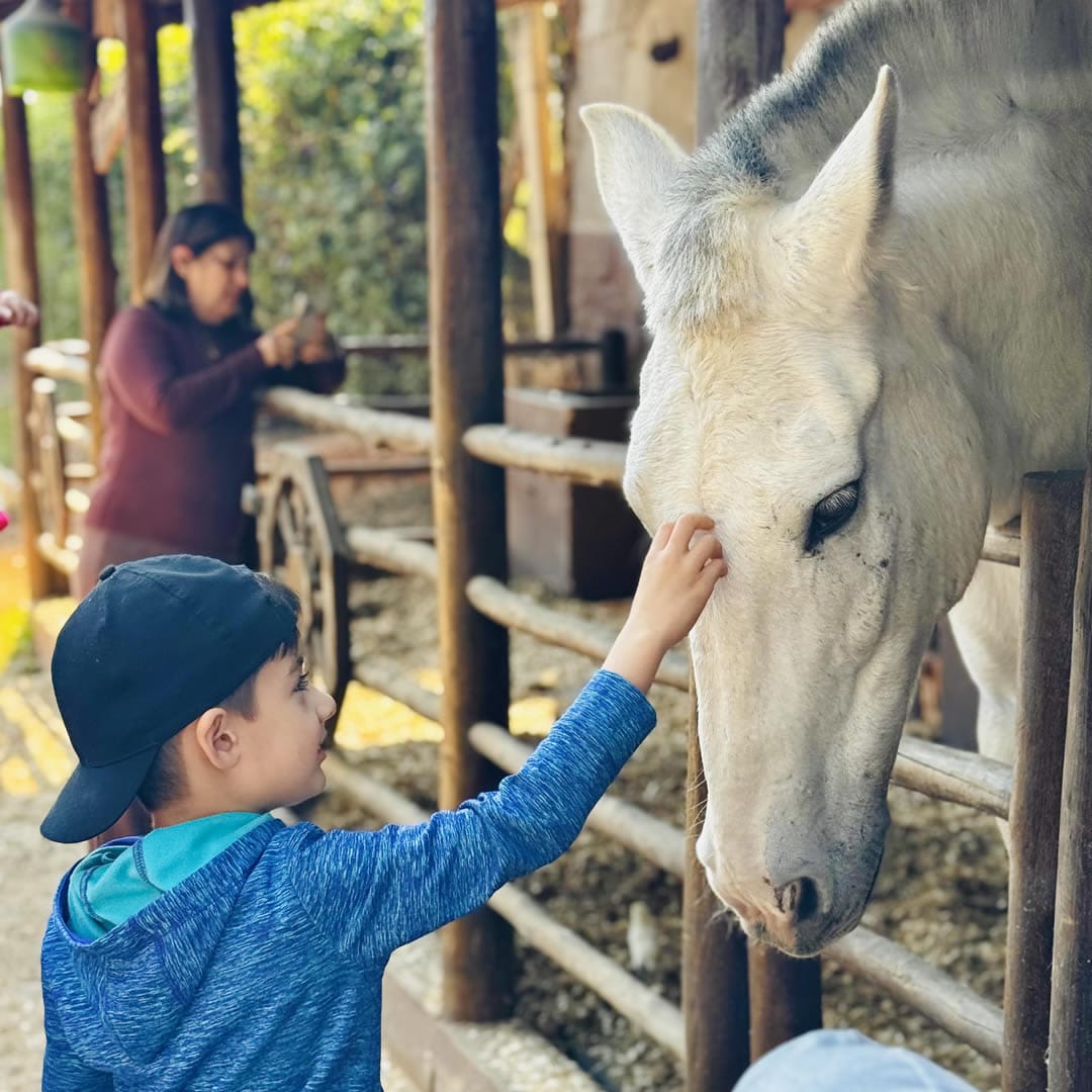 Criança com animais na fazendinha